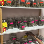 Canaza - Weed shop - Cannabis Dispensary