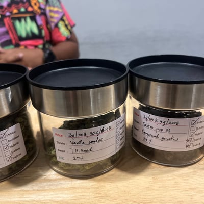 Dr.Mellow - Cannabis shop (ร้านขายกัญชา) product image
