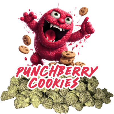 Punchberry Cookies