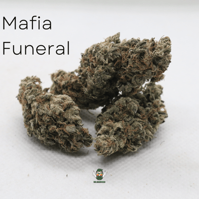 Mafia Funeral
