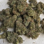 Growpro cannabis shop & dispensary