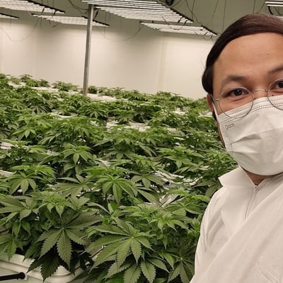 Kannabiz Tech (Farm) product image