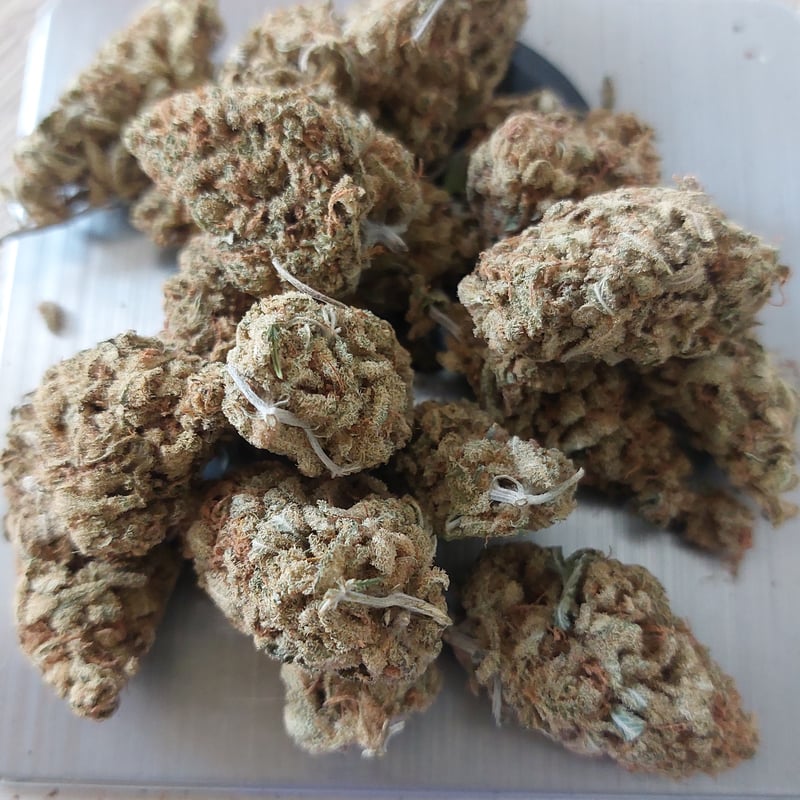 Platinumkush Cannabis Flower at Stock g Grower Cnx in Chiang Mai