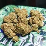 King weeds-cannabis(ราชา​ วัชพืช)​