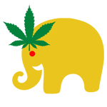 ช้างตาแดง ( Cannabis Farm Thailand )