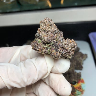 สวนลุงคง สาขาราชบุรี product image