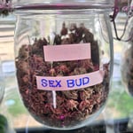 Herb Haven Cannabis