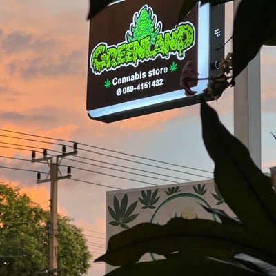 Greenland Angthong Thailand (ร้านกัญชาใกล้ฉัน) product image