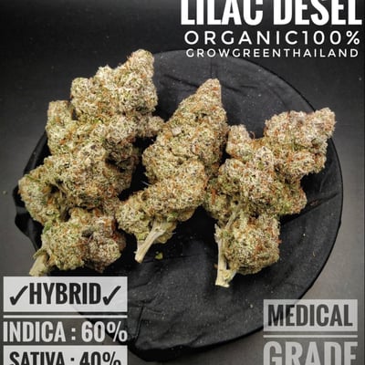 Lilac diesel