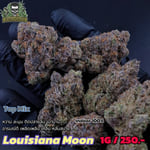 Louisiana Moon