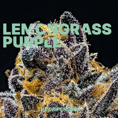 Lemongrass Purple