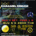 AAA Cannabis Shop Thailand PATTAYA JOMTIAN BEACH