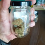 Mickies Coffeeshop (Cannabis Dispensary)