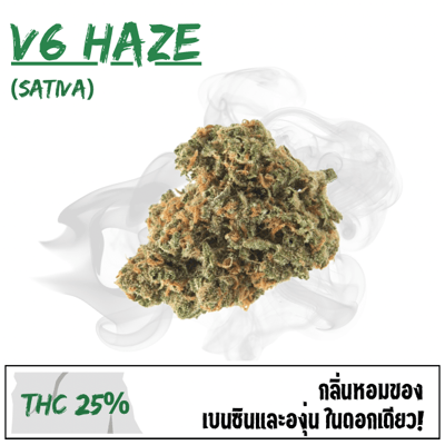 V6 Haze (Exotic)