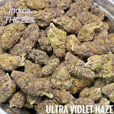 Ultra Violet Haze – Indica – THC – 22% (Per Gram)