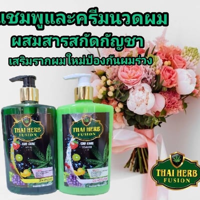 องครักษ์พรีเมียร์ product image