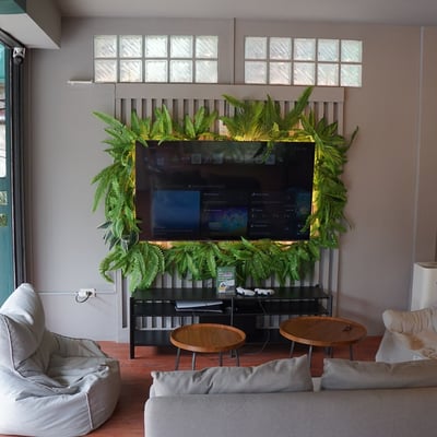 Weeden Cannabis Store product image