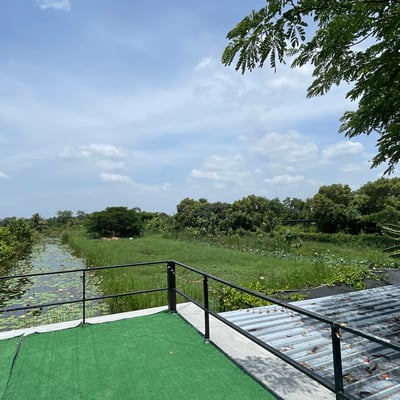 บ้านสวนแก้วกัญ&กัญชา&Cannabis shop&cafe&大麻&กัญชาสุพรรณบุรี product image