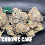 Chronic cake