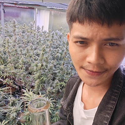 OH MY DOSE(weed shop) cannabis marijuana ganja product image