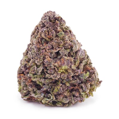 Purple Gelato