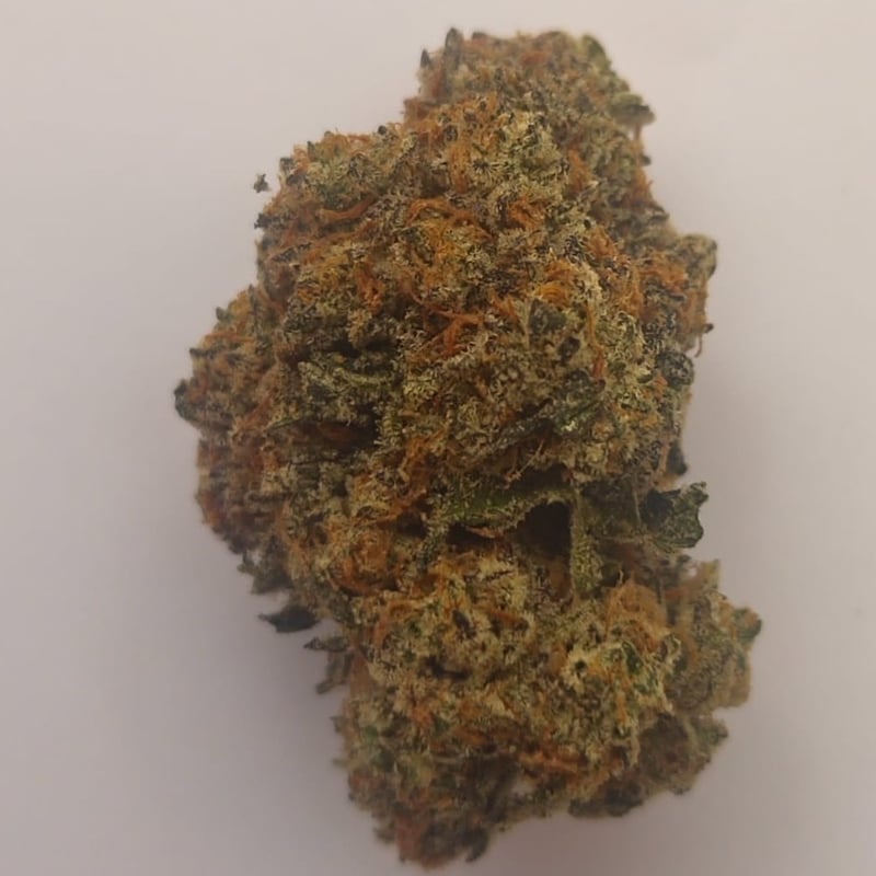 Cream Brulee Exotic Cannabis Flower at Grea8idea Dispensary in Bangkok