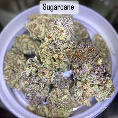 Sugarcane