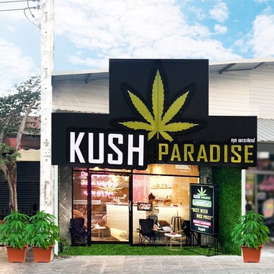 Kush Paradise Weed Cannabis Shop Cafe&Bar