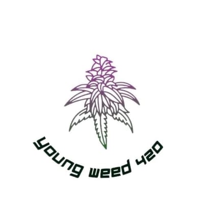 Youngweed420@Banrai Cannabis store (ร้านขายกัญชา) product image