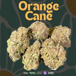 Orange Cane