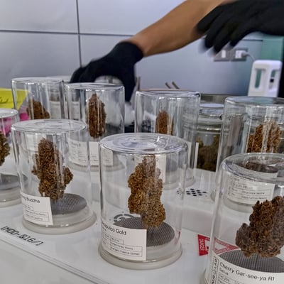 NUG LAB - Cannabis Dispensary | Medical & Play (Rayong) product image