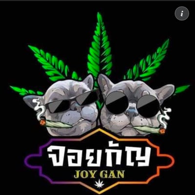 กัญชา คลอง4 (จอยกัญ-Joy Gan) product image