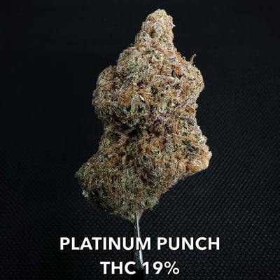 PLATINUM PUNCH