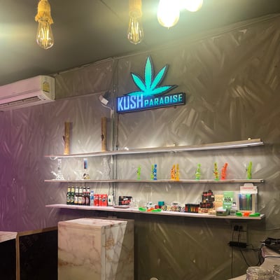 Kush Paradise Weed Cannabis Shop Cafe&Bar product image