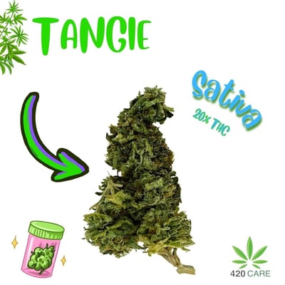 Tangie