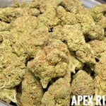 Apex R1 – Sativa – THC – 24% (Per Gram)