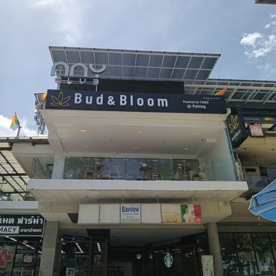 Bud and Bloom Patong- Cannabis Dispensary, Weed Shop