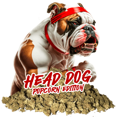 Head Dog ( Pop )