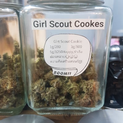 Girt scout cookie
