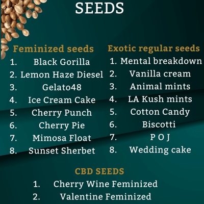 Cannabis seeds from USA