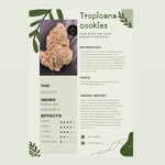 Tropicana Cookies 