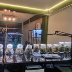 Shiva Cannabis - Weed & Bar