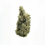 AMNESIA HAZE