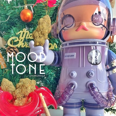 ร้านกัญชา mood&tone dispensary cannabis shop 大麻店 大麻ショップ × Sativa product image