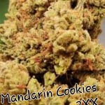 Mandarin cookies 