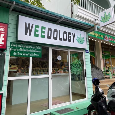 Weedology Cannabis Culture Aonang