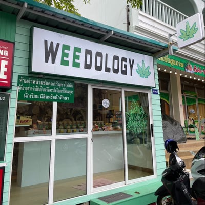 Weedology Cannabis Culture Aonang product image