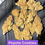 Peyote Cookies 