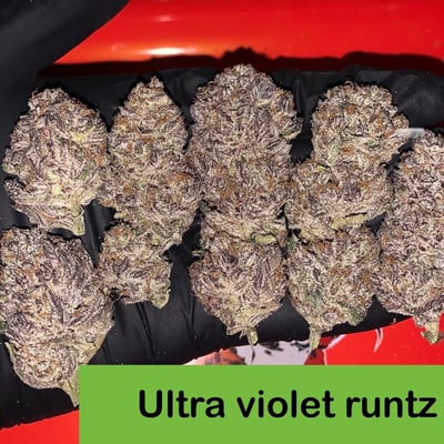 Ultra violet runtz s1