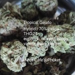 Tropical Gelato